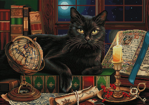 Black Cat by Candlelight W8