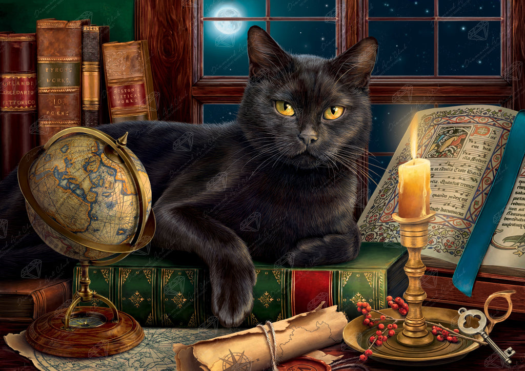 Black Cat by Candlelight W8