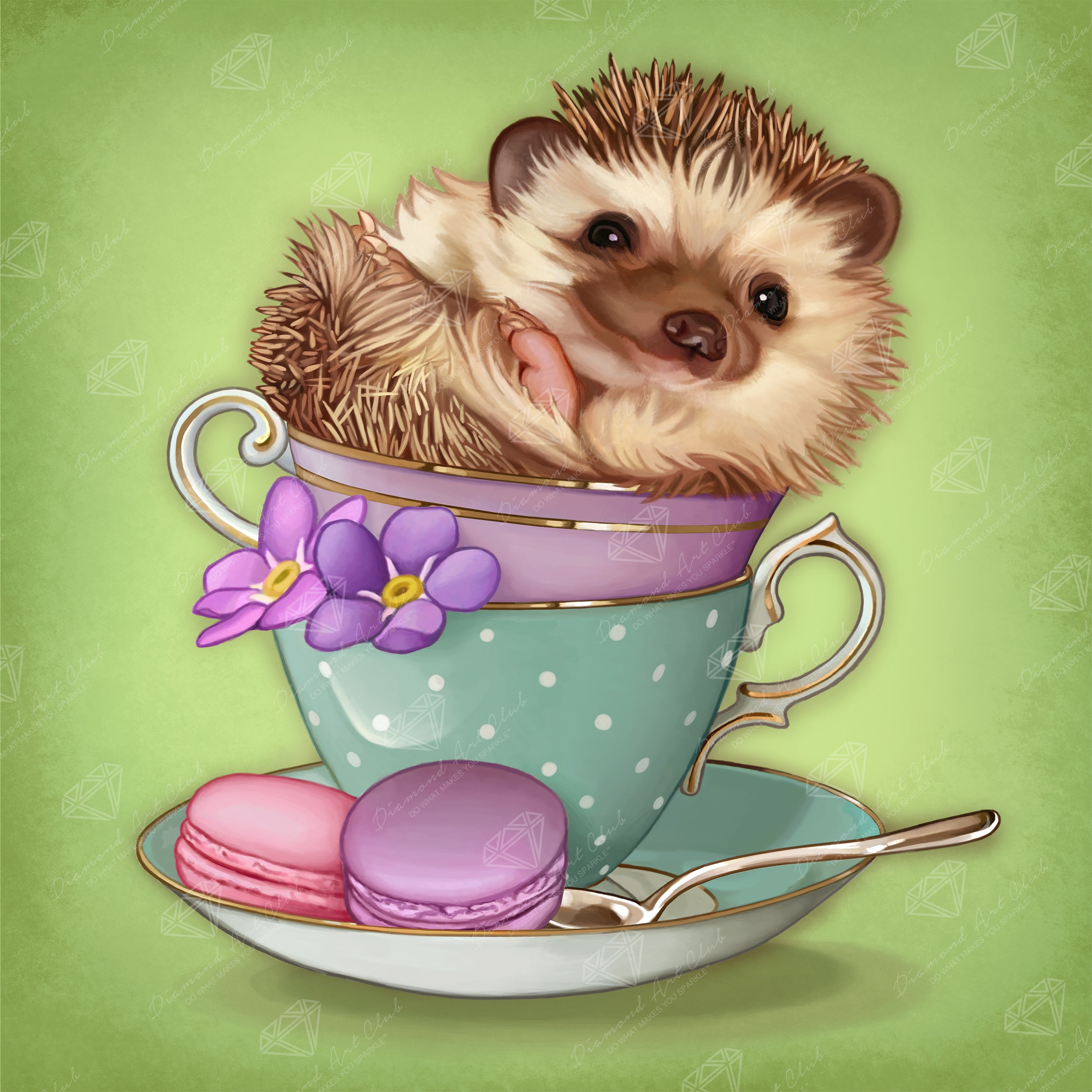 Hedgehog O0