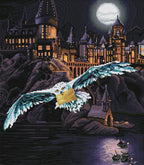 Hogwarts™ and Hedwig™ Q0