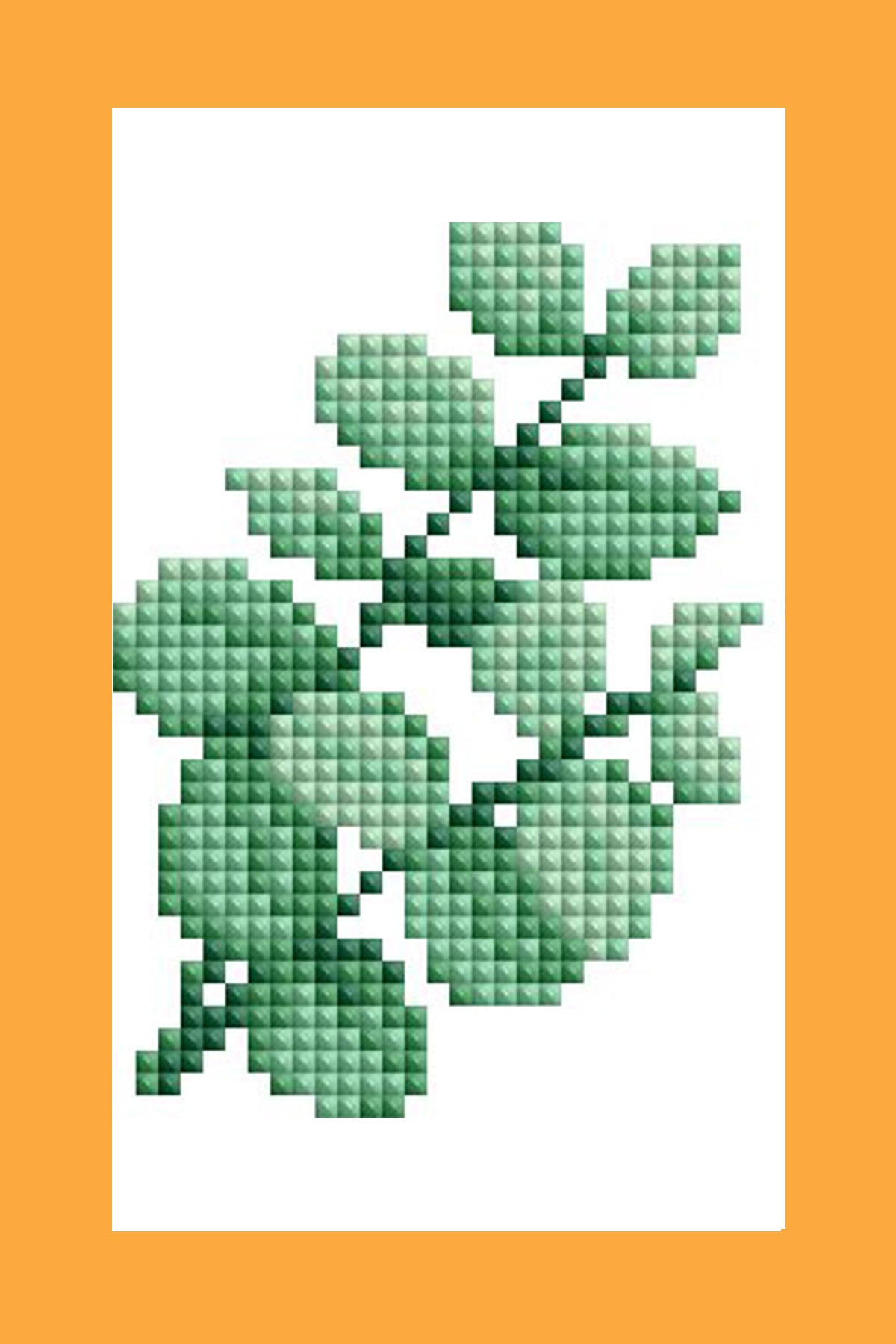 Mini Dazzles™ - Herbs & Medicinal Plants Q5