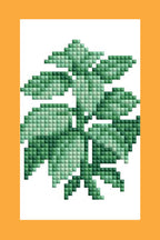 Mini Dazzles™ - Herbs & Medicinal Plants Q5
