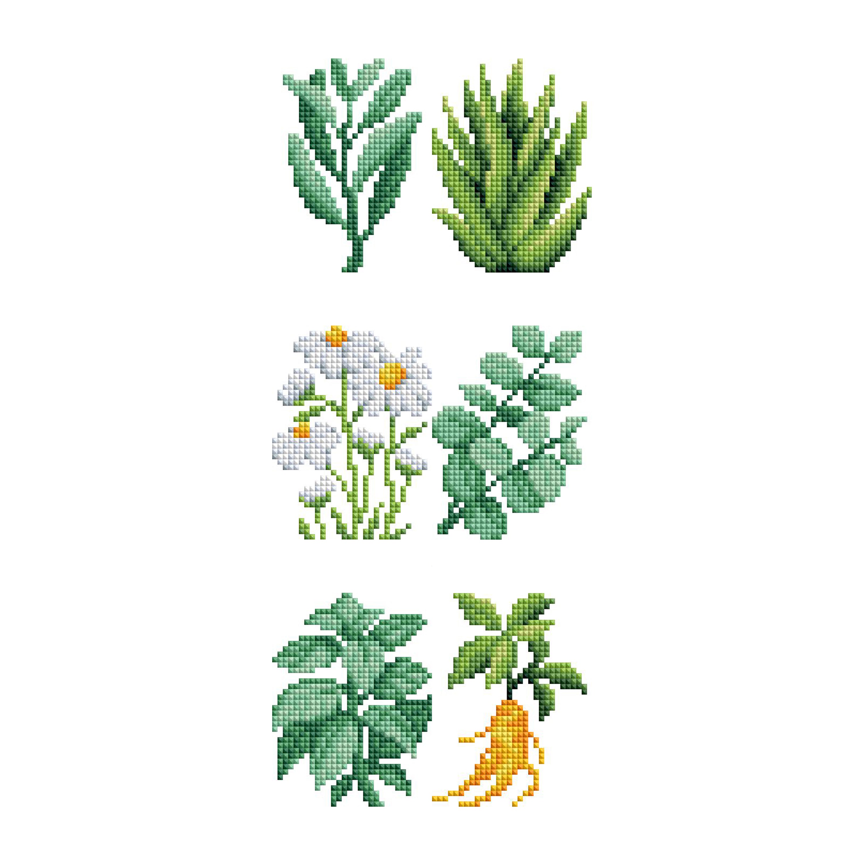 Mini Dazzles™ - Herbs & Medicinal Plants A6