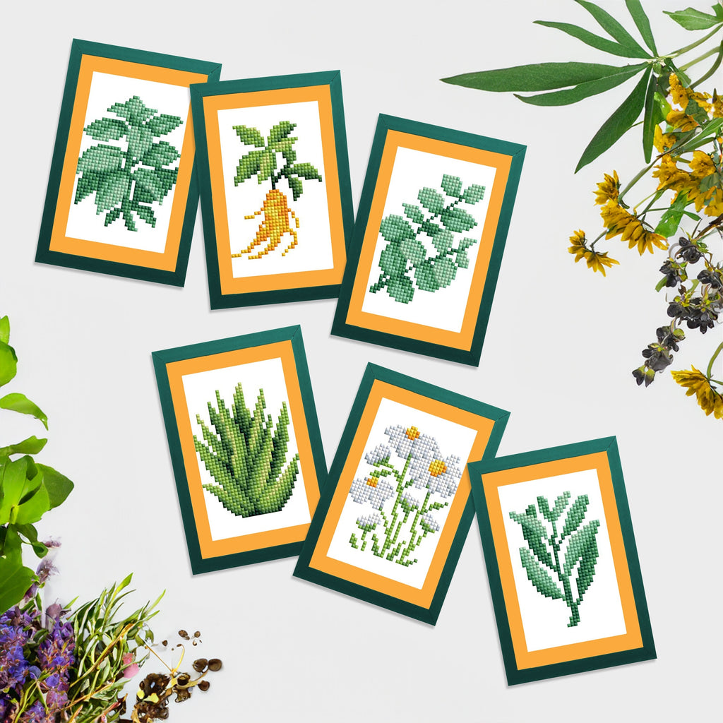 Mini Dazzles™ - Herbs & Medicinal Plants A6