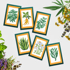 Mini Dazzles™ - Herbs & Medicinal Plants A6
