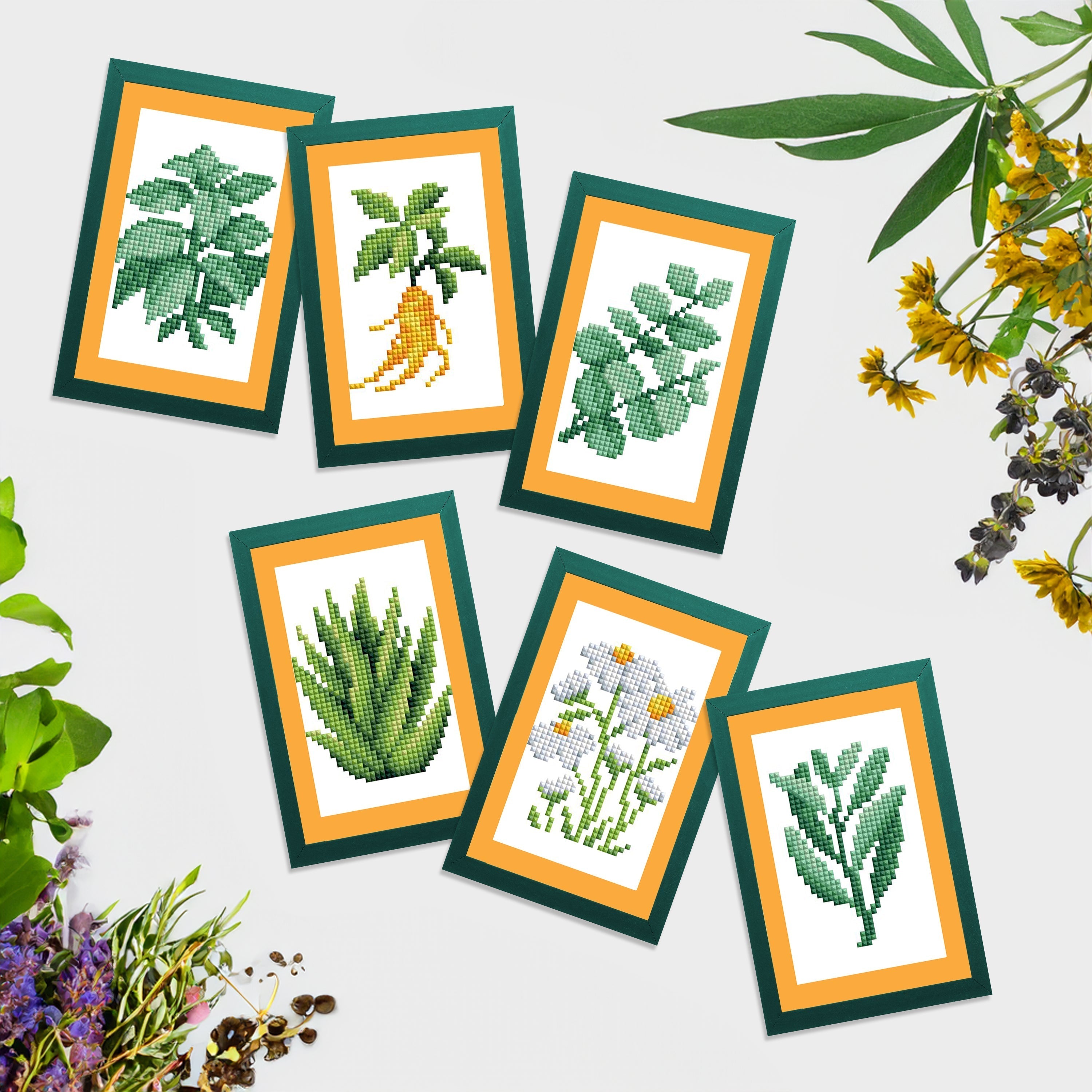 Mini Dazzles™ - Herbs & Medicinal Plants Q5