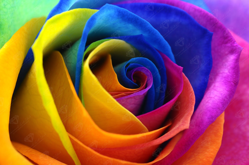 Rainbow Flower Petals Z8