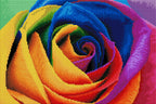 Rainbow Flower Petals Z8