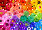 Rainbow Flower Power D1