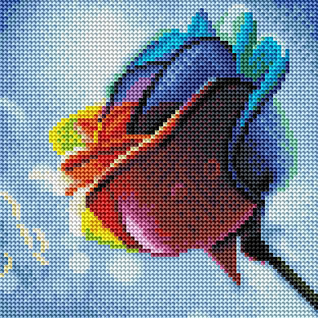 Rainbow Rose A2