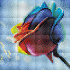 Rainbow Rose A2