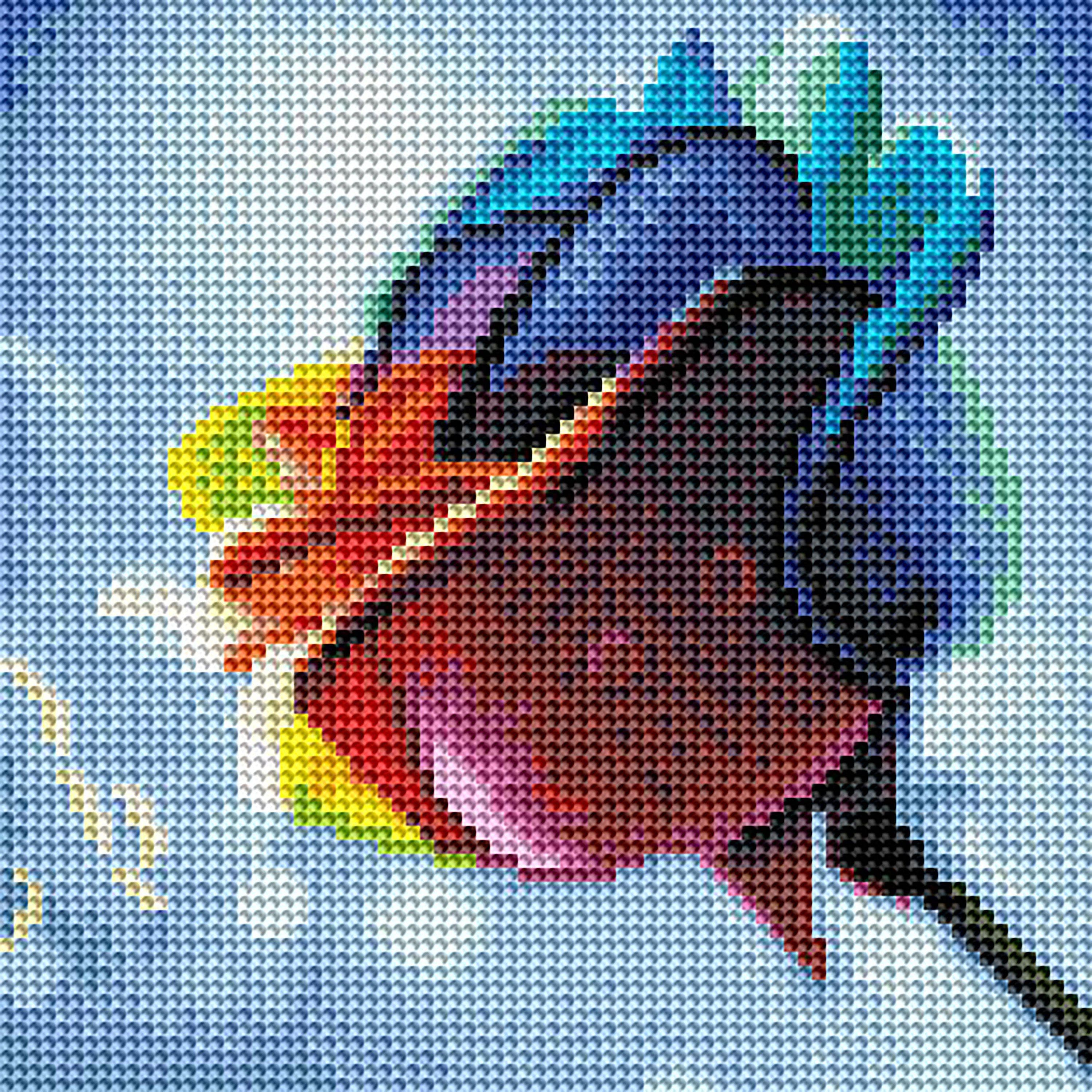 Rainbow Rose A2