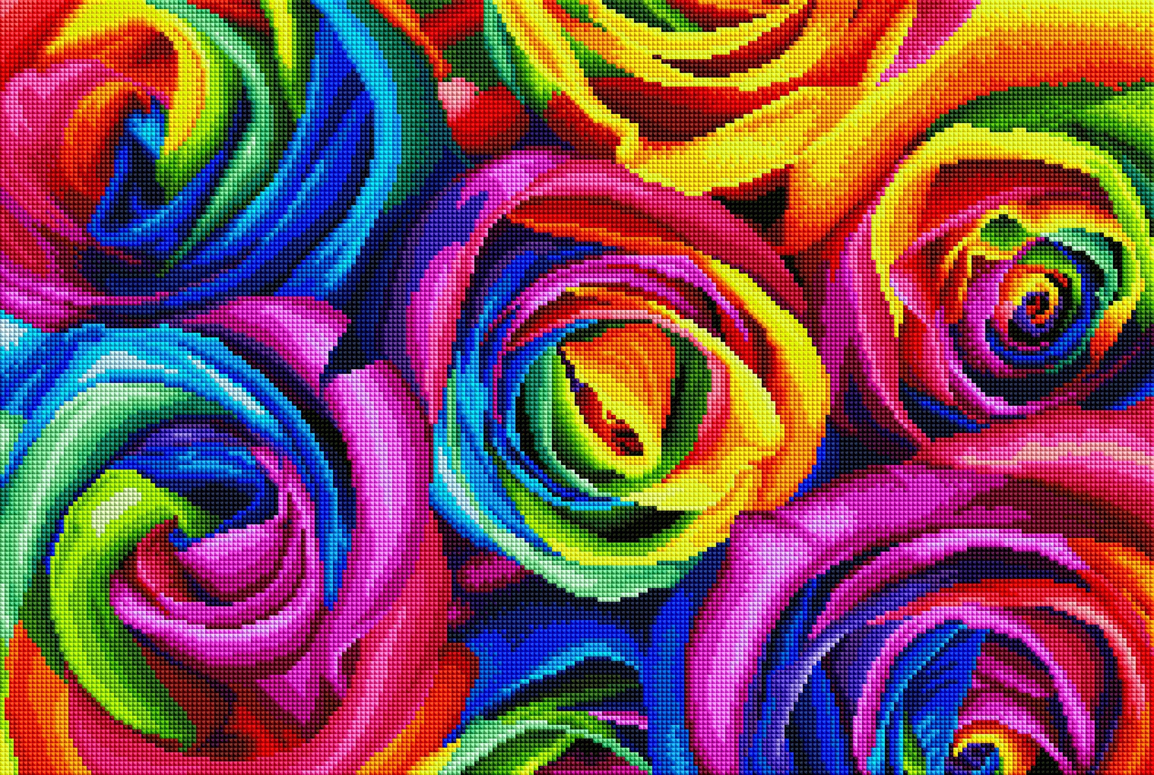 Rainbow Roses P7