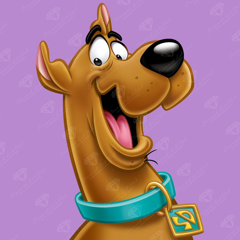 Scooby Dooby Doo Y2