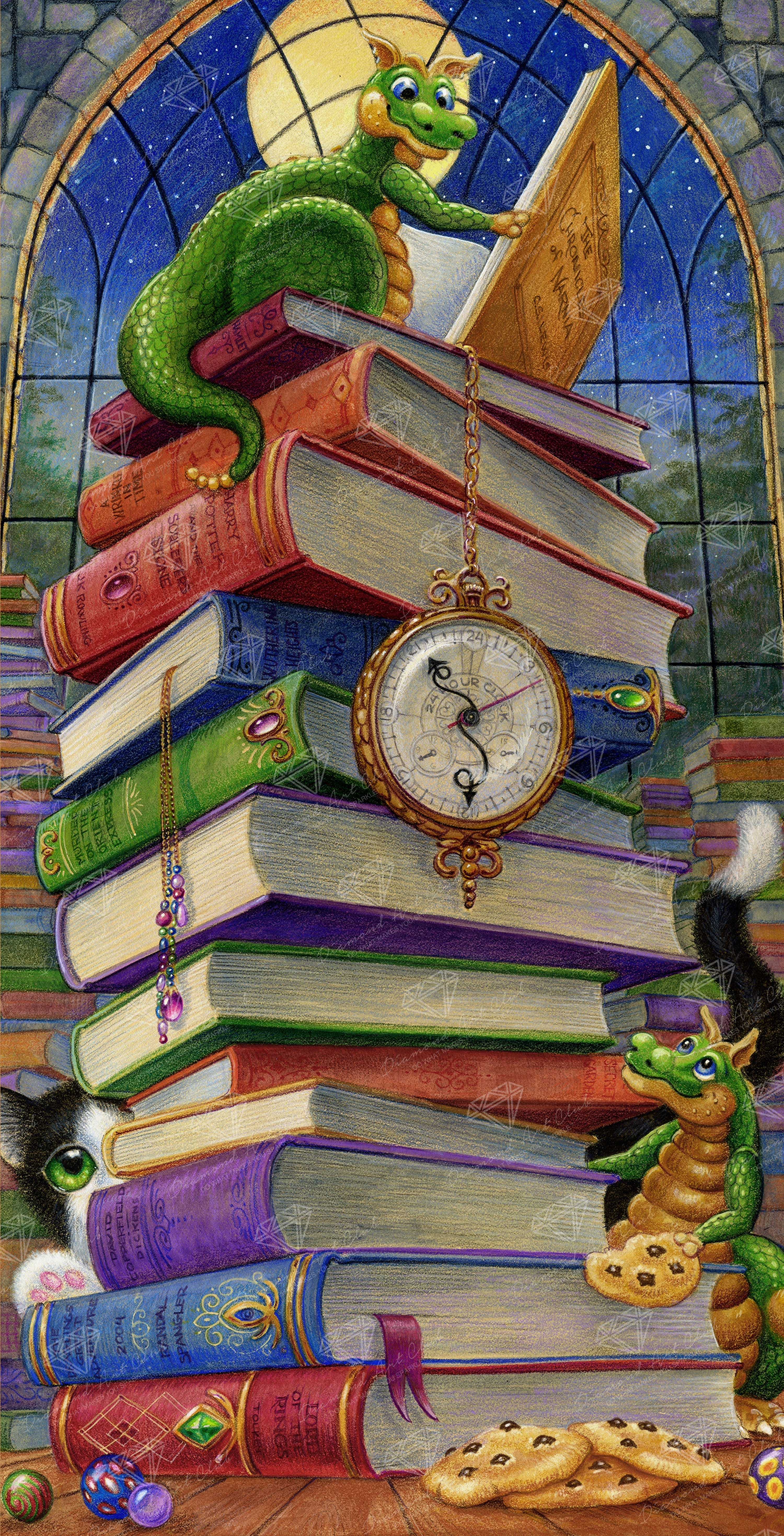 So Many Books,  So Little Time O0