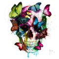 Soul's Colors Q0