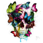 Soul's Colors Q0