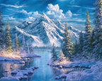 Winter Solace W6