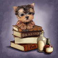 Yorkie & Magic Books J1