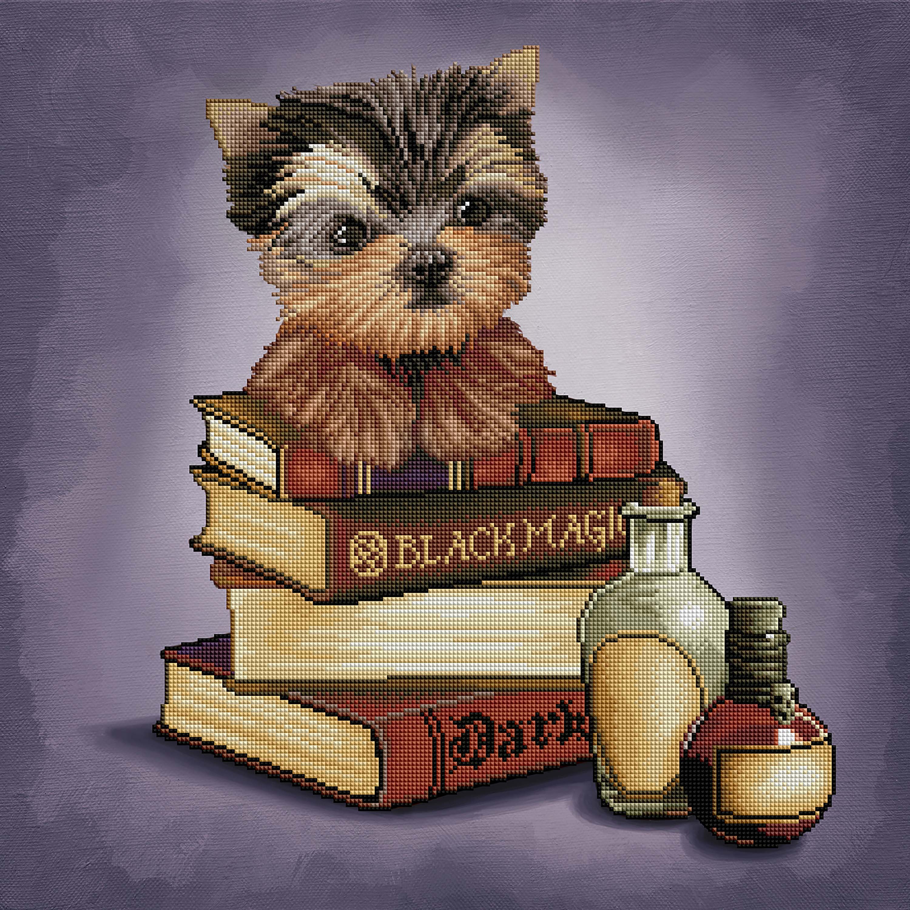 Yorkie & Magic Books J1