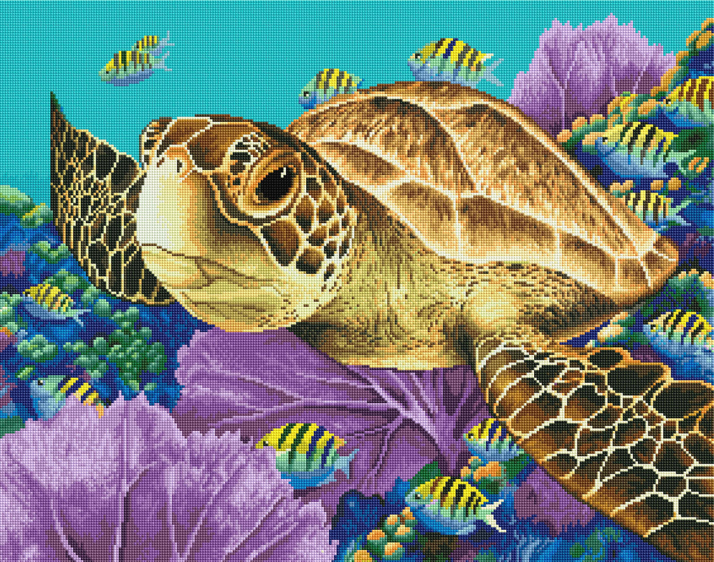 Young Green Sea Turtle S8