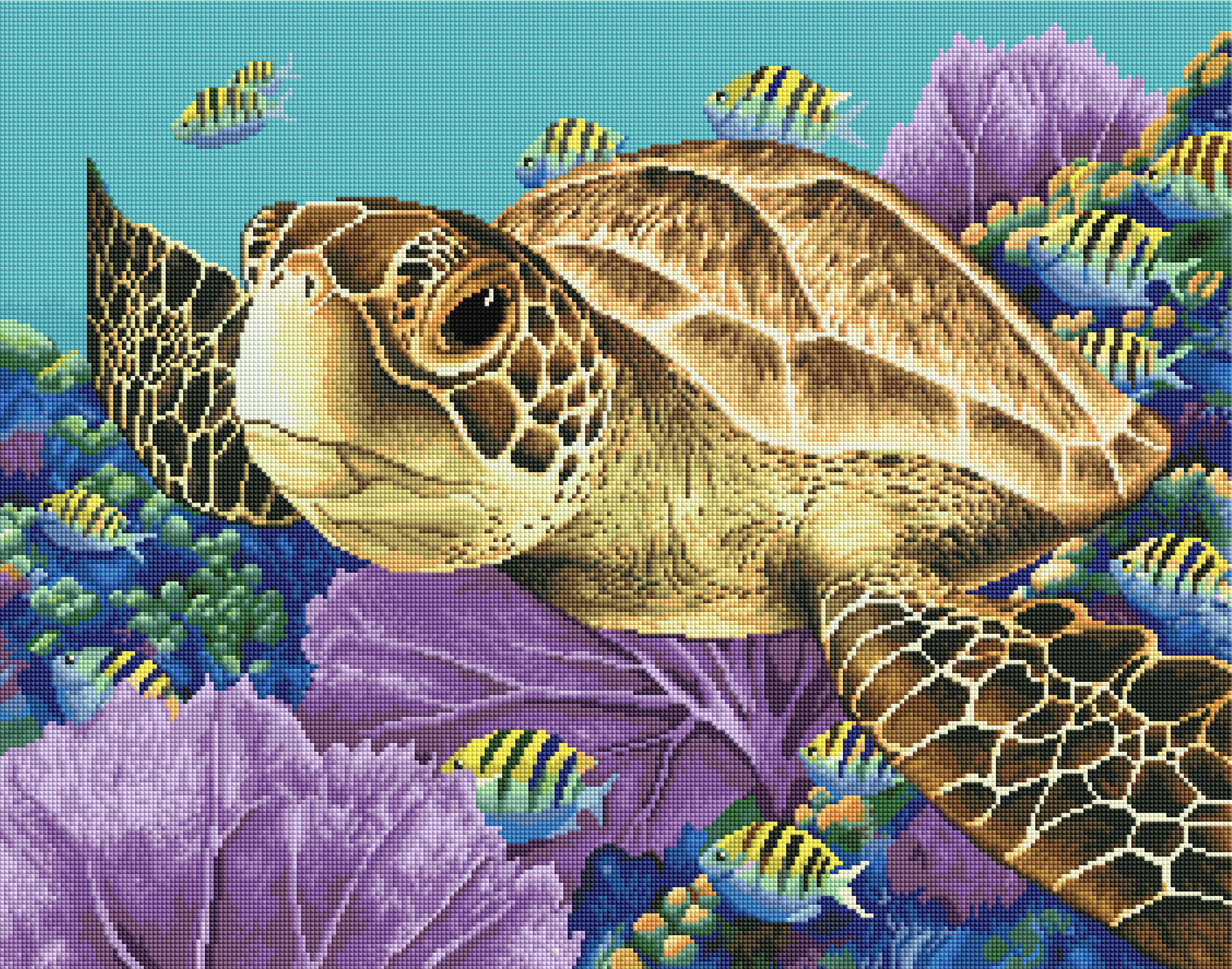 Young Green Sea Turtle S8