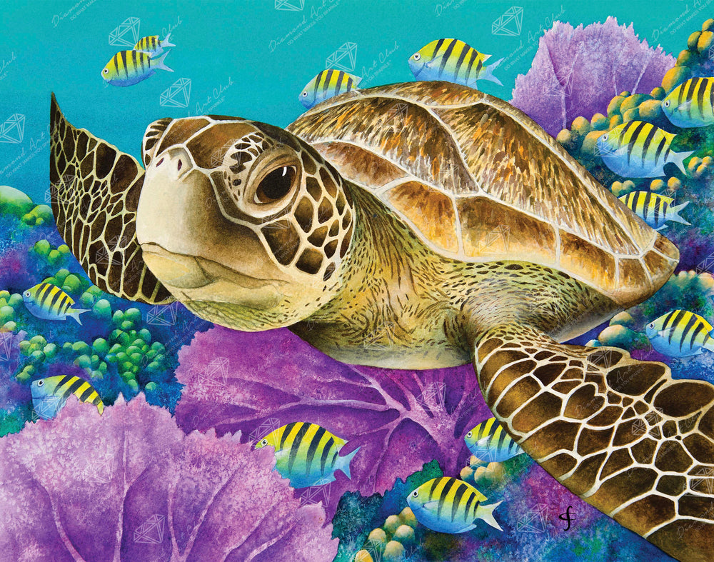 Young Green Sea Turtle S8